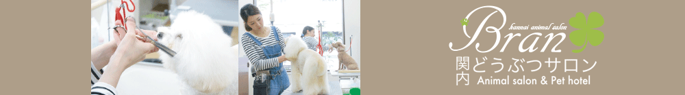 関内どうぶつサロンBran