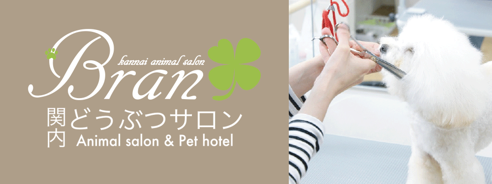 関内どうぶつサロンBran